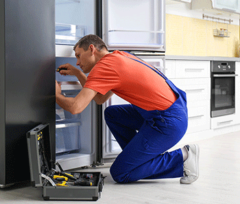 Refrigerator maintenance service